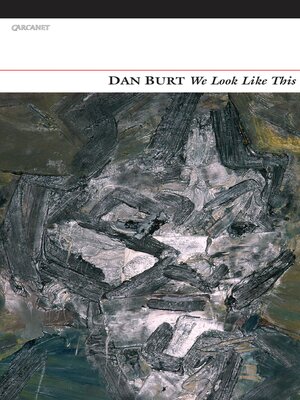 cover image of We Look Like This
